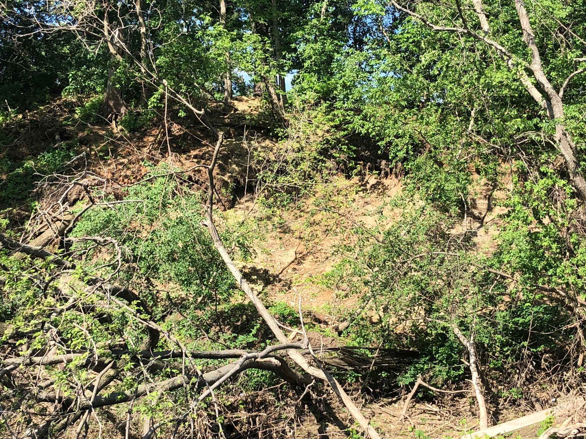 Eroding Riverbank on Rum River (jpg)