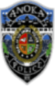 APD Shoulder Patch.JPG