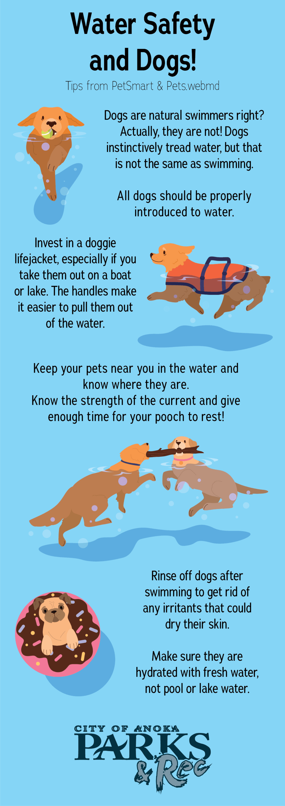List of water safety tips for dogs from PetSmart and pets.webmd
